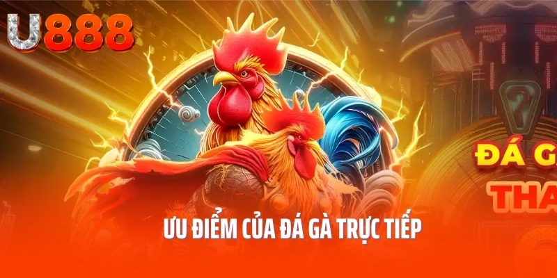 da-ga-truc-tiep-uu-diem