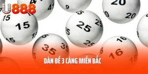 dan-de-3-cang-mien-bac