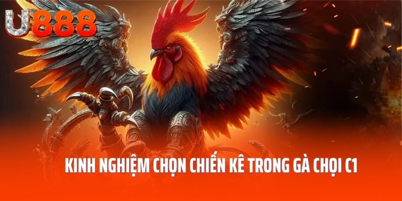 ga-choi-c1-kinh-nghiem