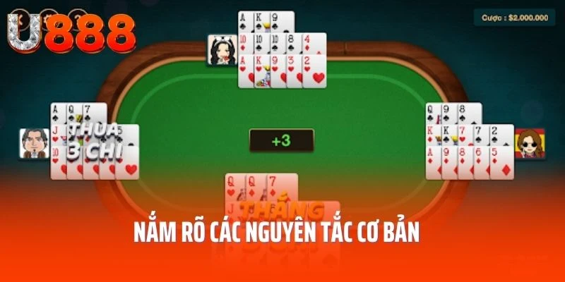 mau-binh-nguyen-tac