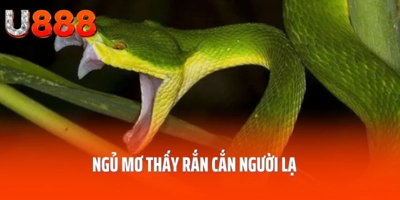 nam-mo-thay-ran-can-nguoi-la