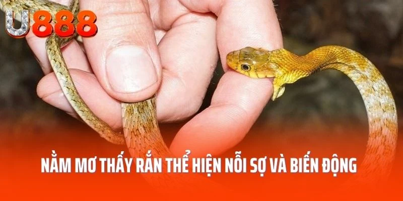 nam-mo-thay-ran-the-hien-noi-so