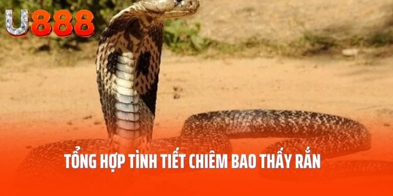 nam-mo-thay-ran-tong-hop