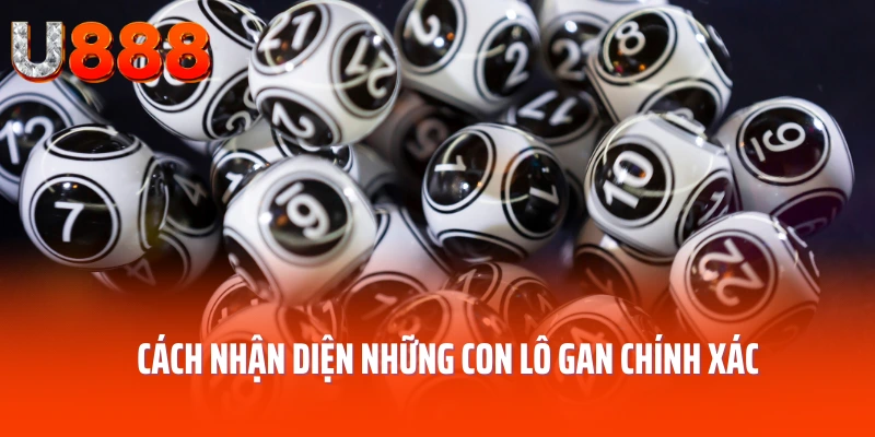 cach-nhan-dien-nhung-con-lo-gan-chinh-xac